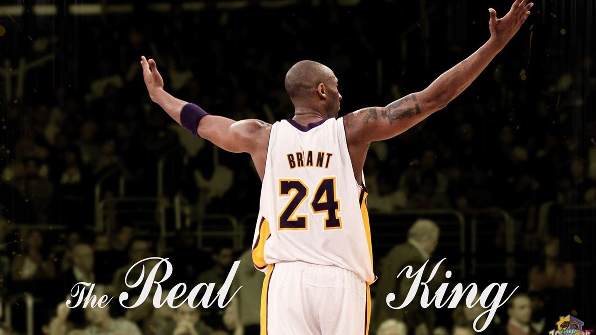 世界杯预选赛最后一轮：多场比赛同时进行 悬念拉满