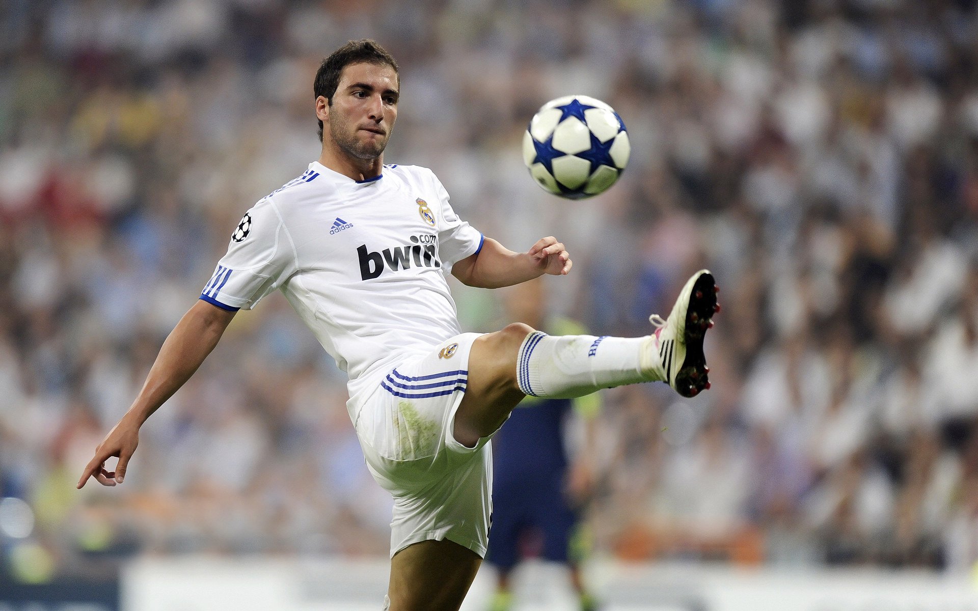 北美职业冰球季后赛全面开打 加时赛频现“绝杀时刻”